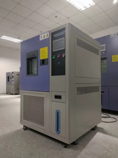 Programmable Constant Temperature Humidity Test Machine / Climate Chamber