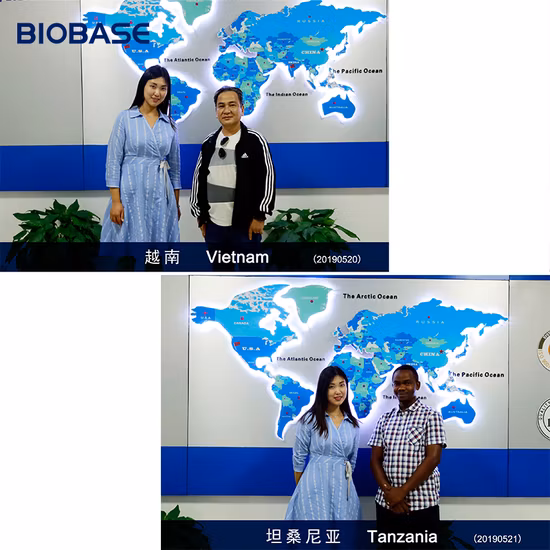 실험실용 Biobase 탁상 항온 프로그래밍 가능 인큐베이터